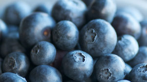 A Kiss from Rose an Extra Dose