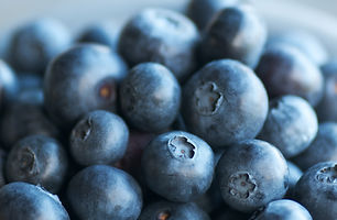 Bowl of Berries