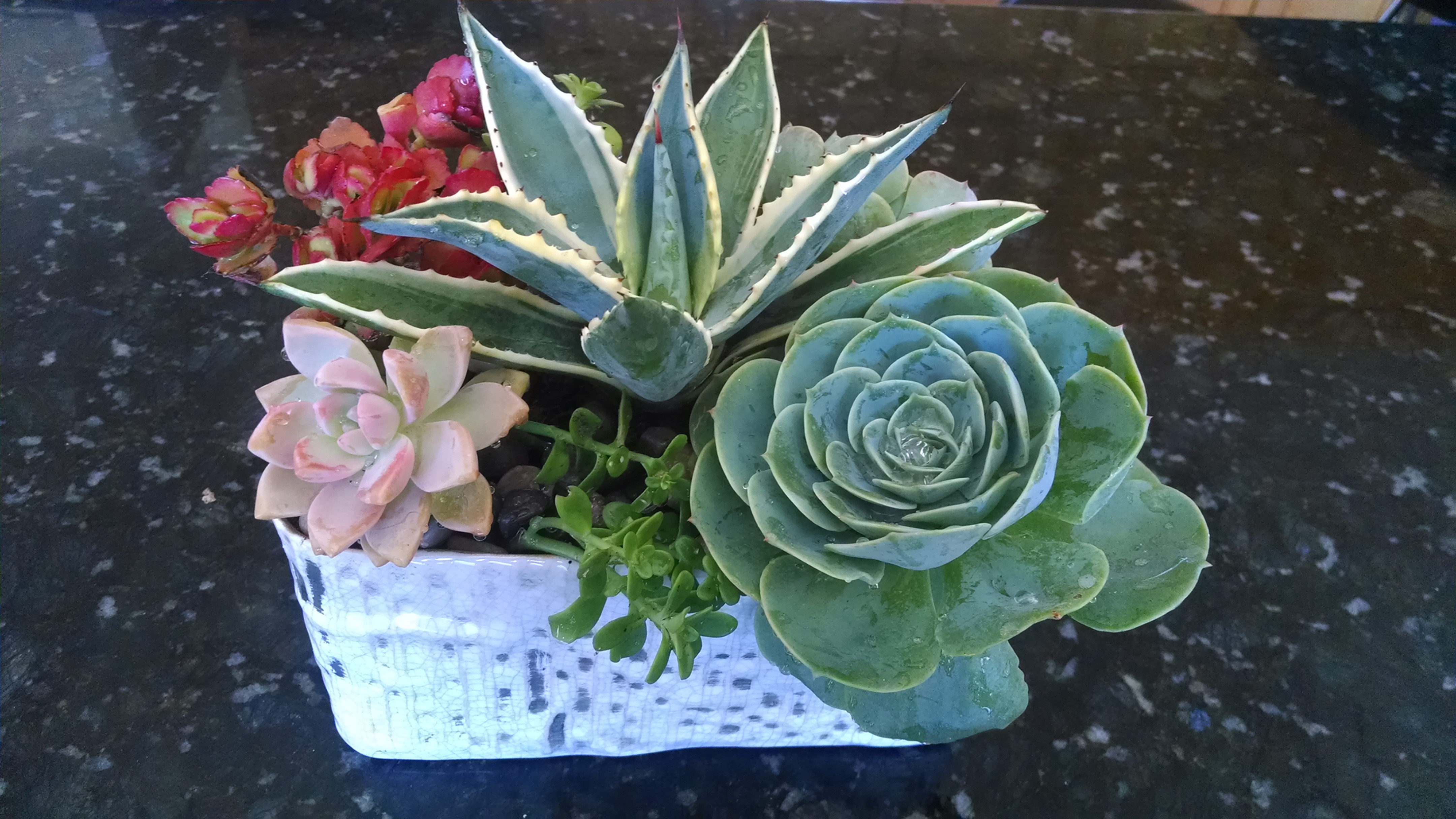 Ceramic rectangular garden 10"
