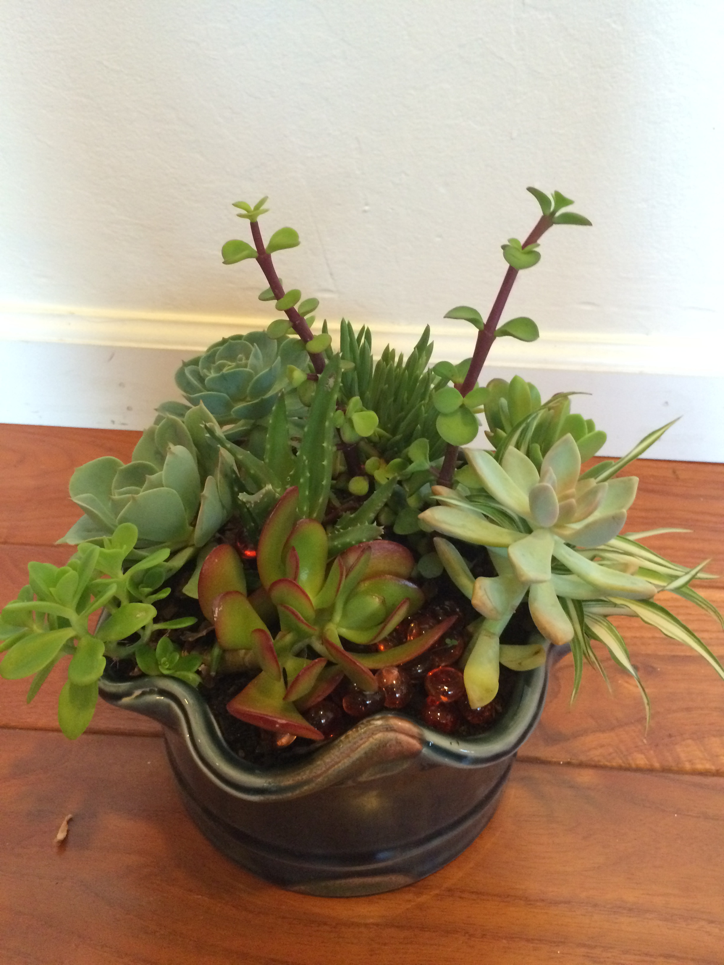 Green ceramic wavy bowl bursting with colorful array of succulents