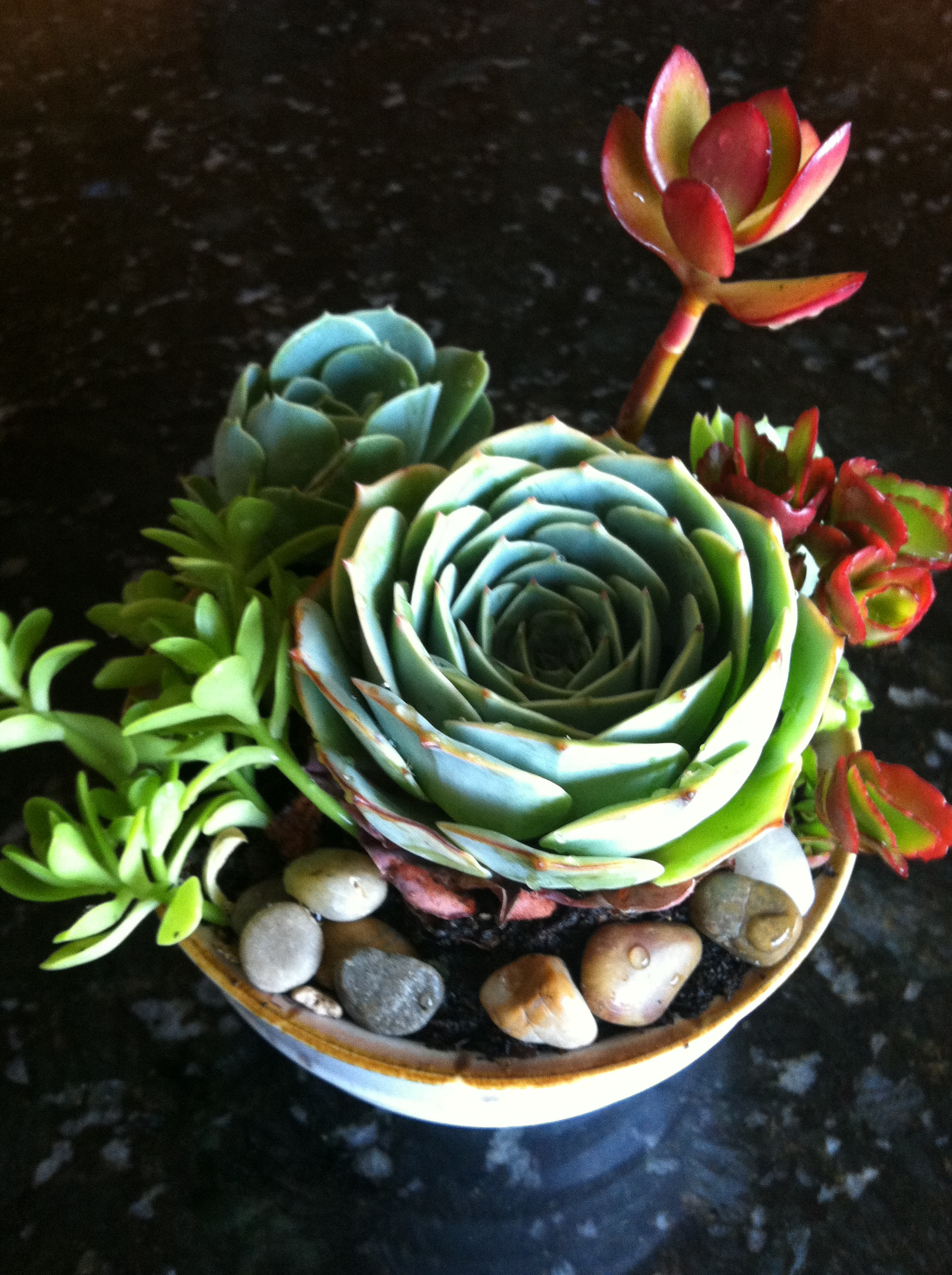 White bowl 6" diameter