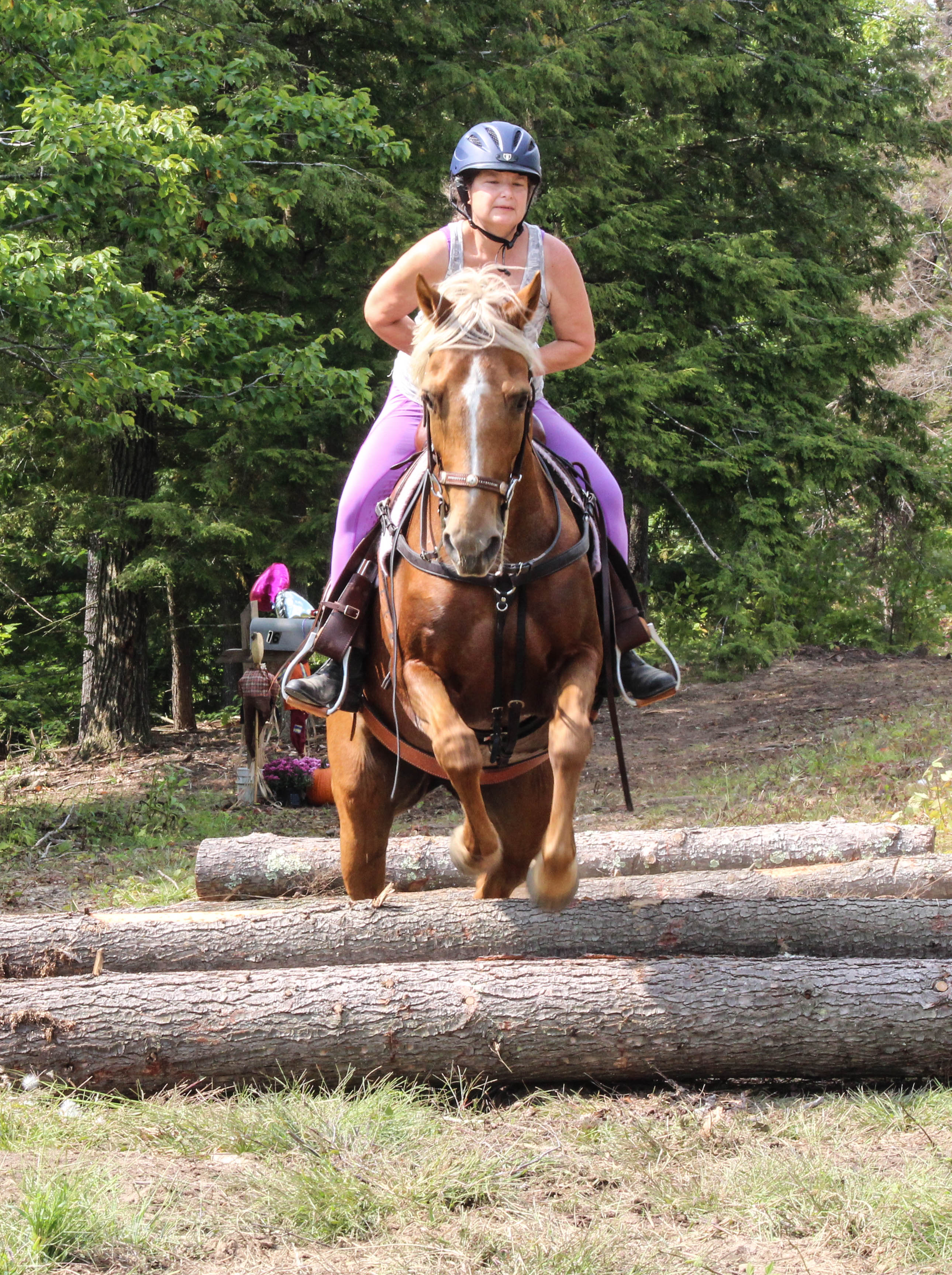 Cross-Country Course
