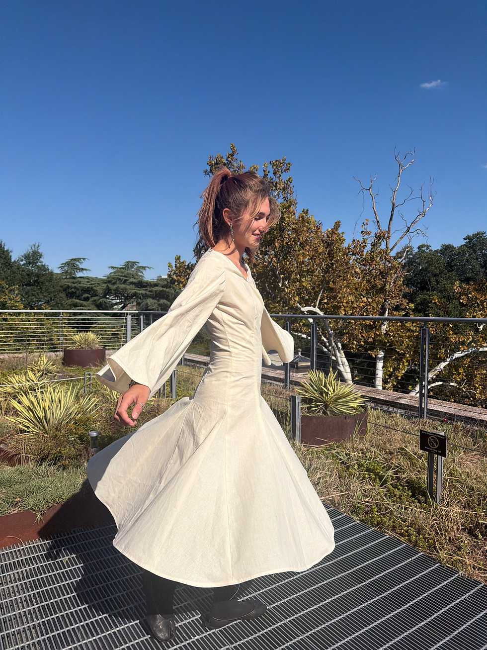 Princess Seam Dress Variation