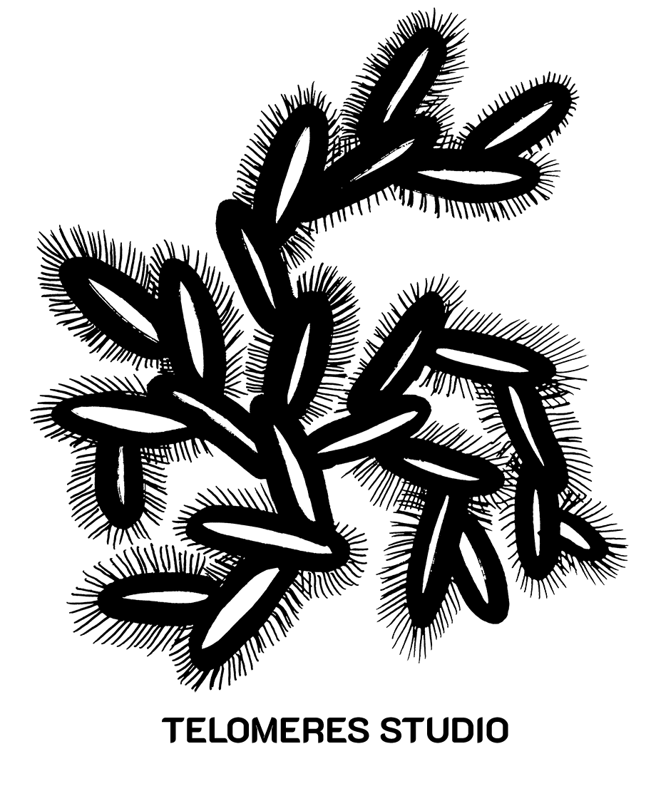 LOGO TELOMERES STUDIO NB.png