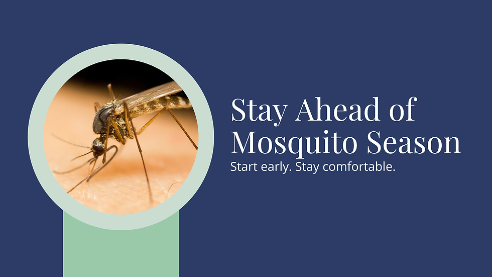 blog banner with photo of mosquito