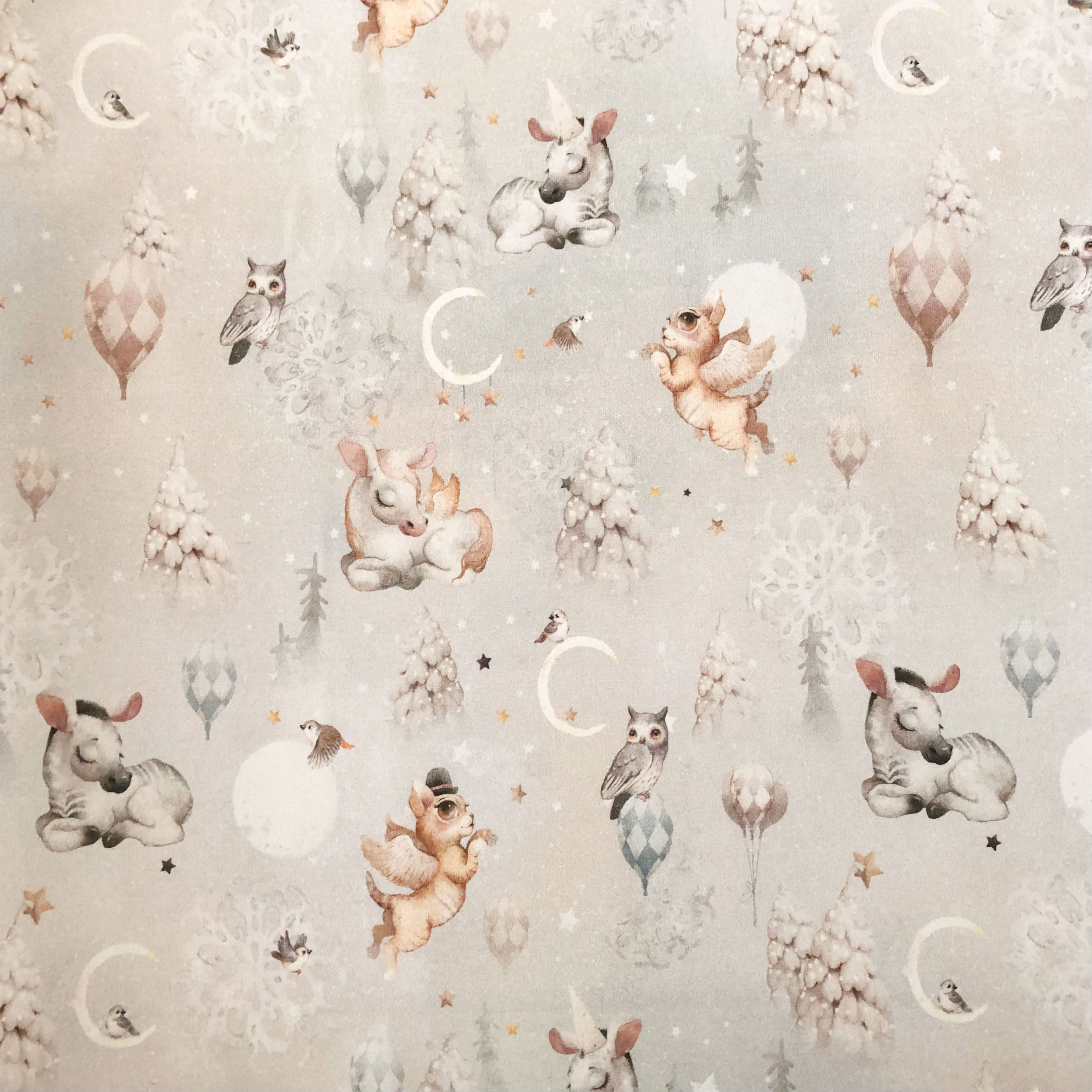 Gigoteuse hiver bébé garçon "Magic"