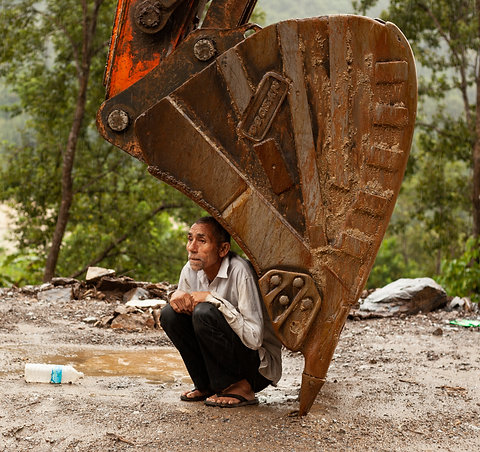 Seeking Shelter - Prints