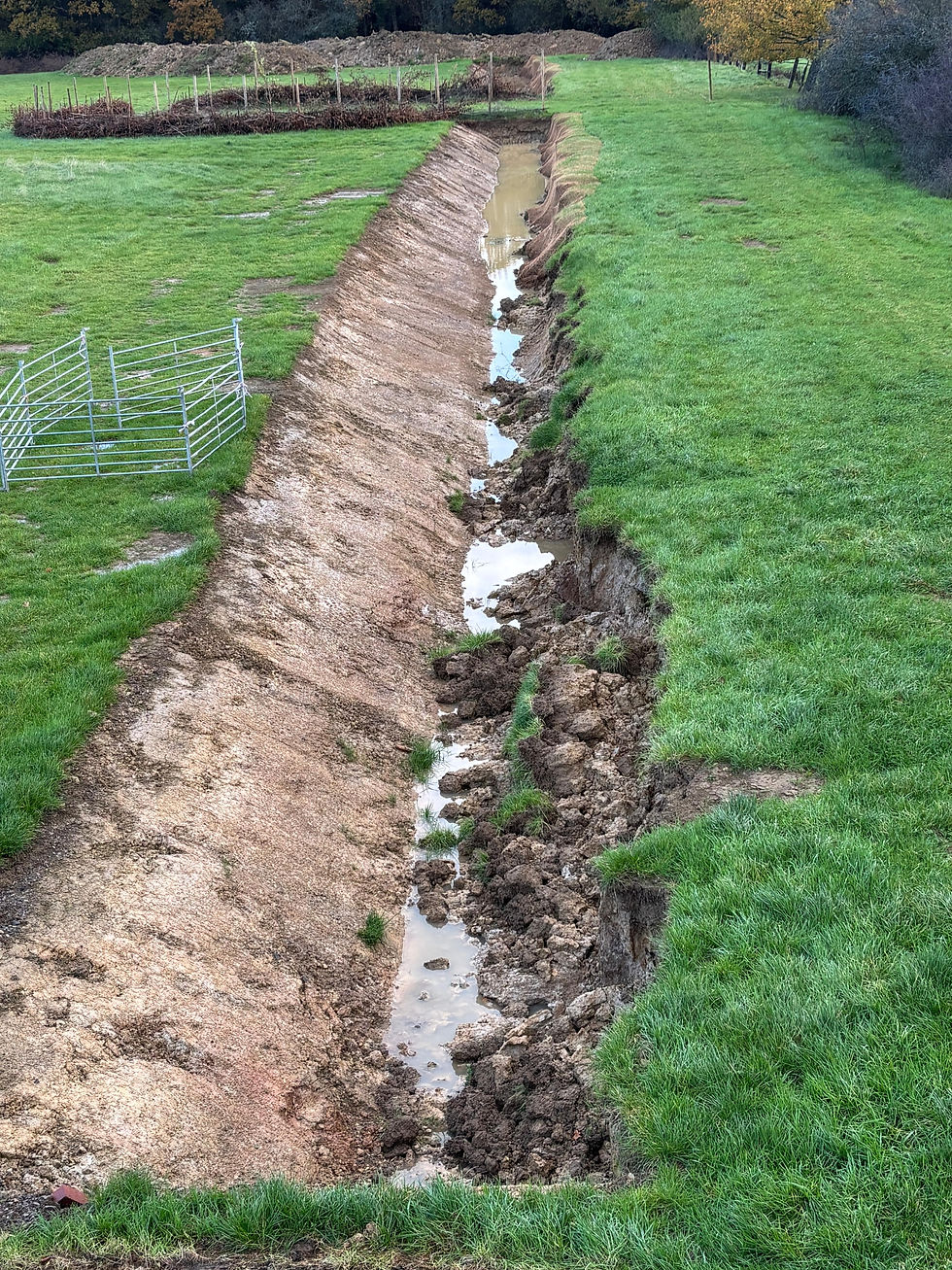 However, over the winter, the edge collapsed, turning my Haha into an ugly ditch.