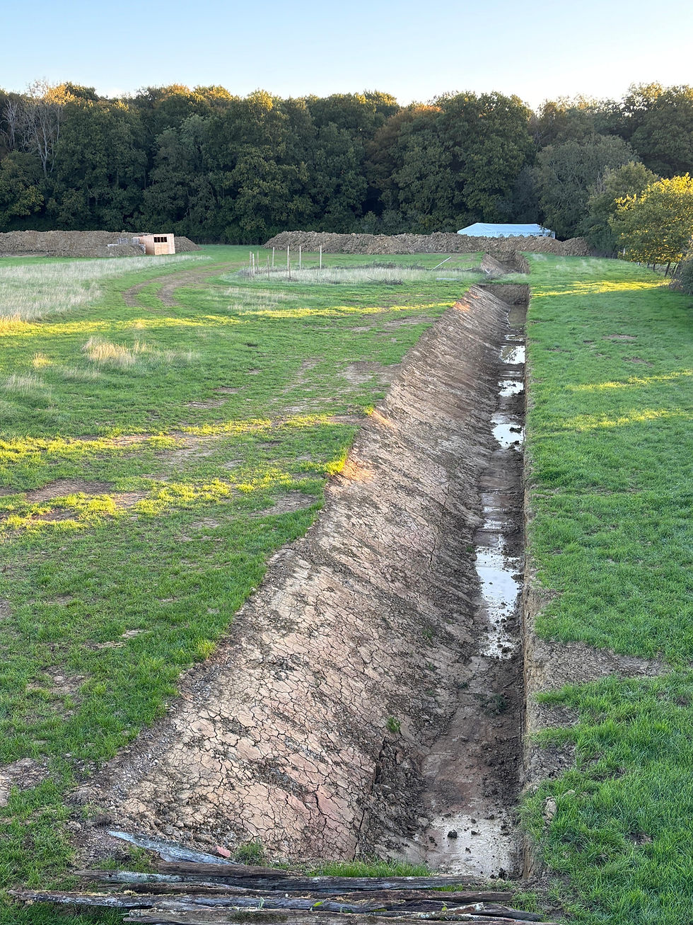 And here is our Haha. Not quite as impressive. However, when it was first constructed (in September 2025), the firm clay meant we had a really neat edge…