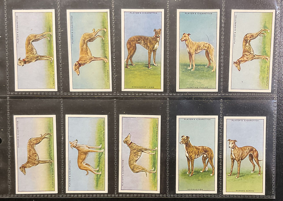 Thumbnail: Players Famous Irish Greyhounds Cigarette Cards