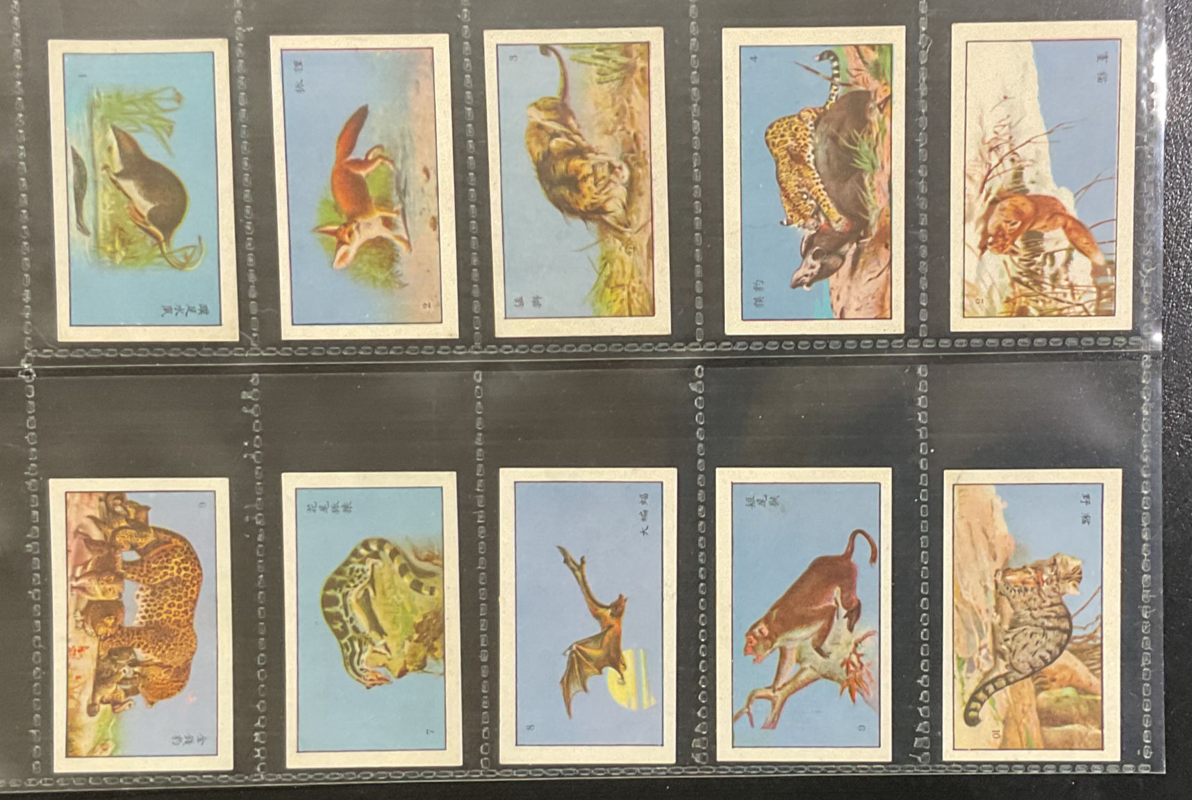 Say Luntob Natural History Chinese Issue Cigarette Cards
