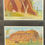 Thumbnail: Liebig Geological Times S1296 Trade Cards