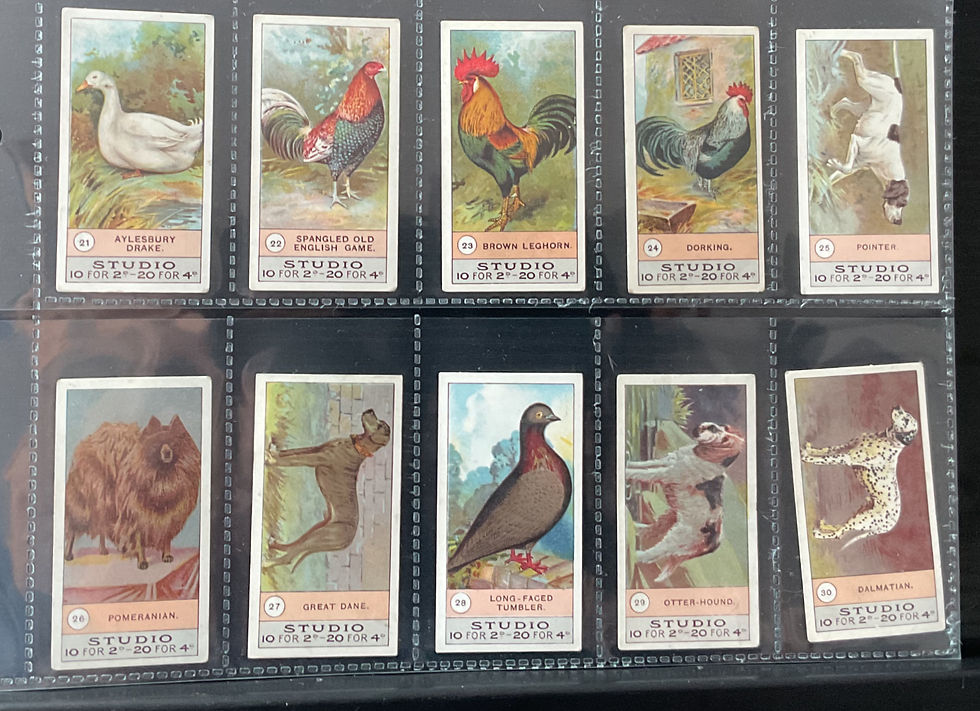 Thumbnail: Smith Fowls Pigeons & Dogs Cigarette Cards