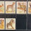 Thumbnail: Godfrey Phillips Animal Studies Cigarette Cards