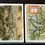 Thumbnail: Liebig Unusual Trees S690 Trade Cards