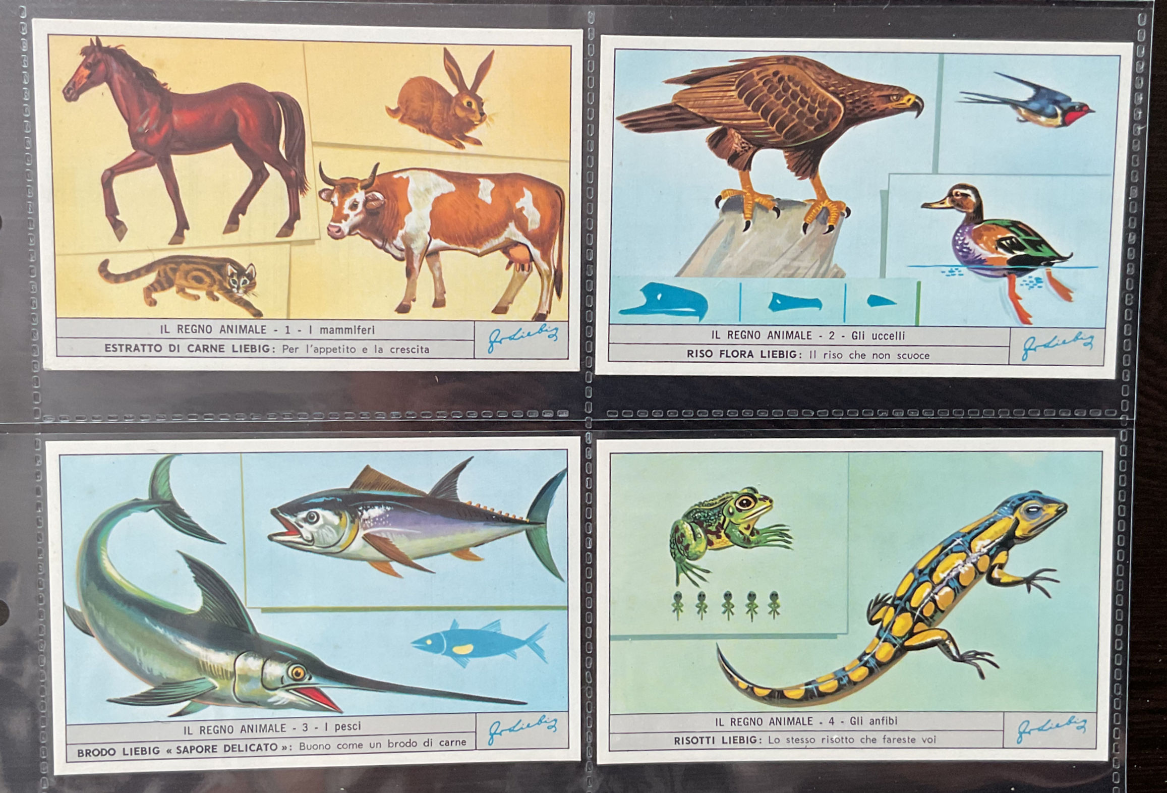 Liebig Animal Kingdom S1866 Trade Cards
