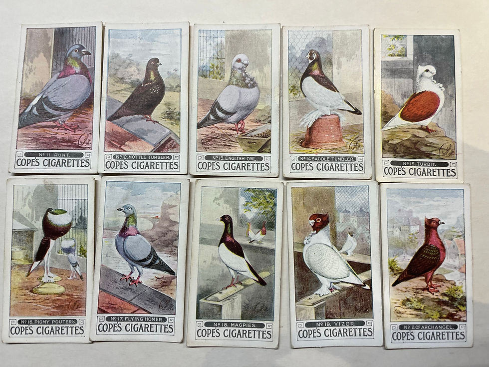 Thumbnail: Copes Pigeons Cigarette Cards