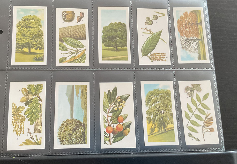 Thumbnail: Brooke Bond Tea Trees In Britain Black Back Reprints Tea Cards