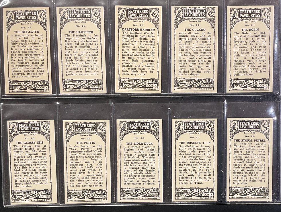 Thumbnail: Scottish C.W.S Feathered Favourites Adhesive White Border Cigarette Cards