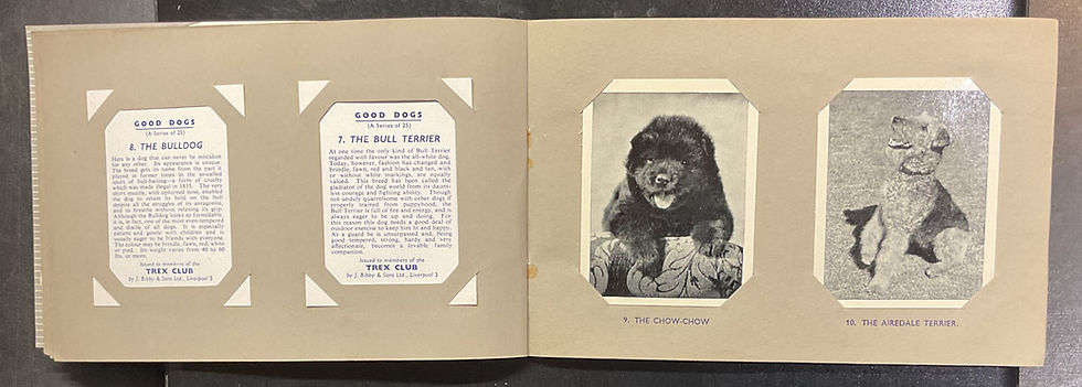 Thumbnail: Bibby Trex Good Dogs Trade Cards