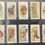 Thumbnail: Players Wild Animal Of The World No LTD Cigarette Cards