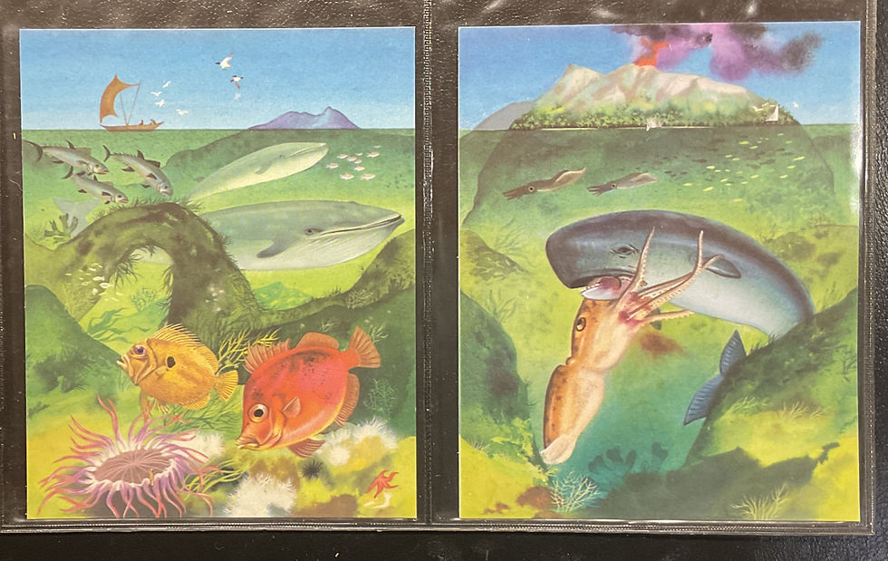 Thumbnail: Walls Sea Creatures Trade Cards