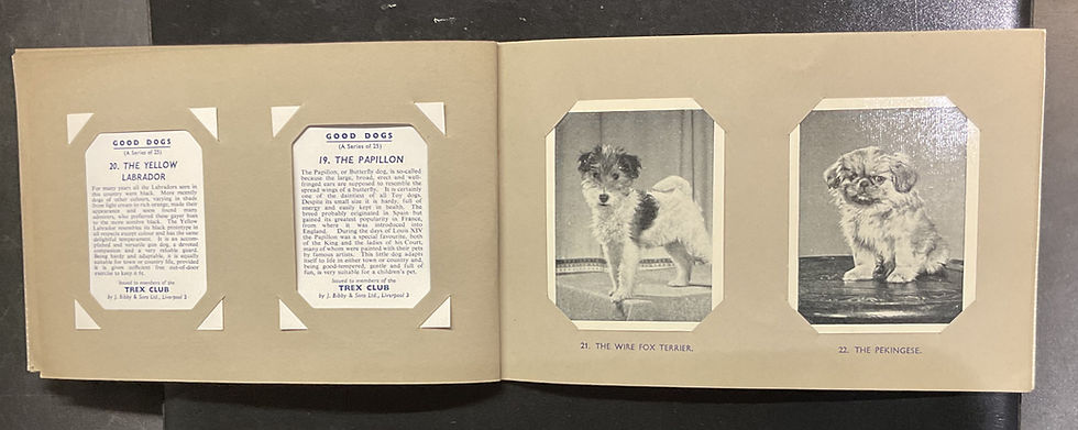 Thumbnail: Bibby Trex Good Dogs Trade Cards