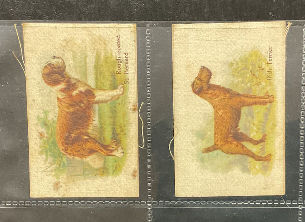 Thumbnail: British American Tobacco B.A.T Best Dogs Of Their Breed Of Silk Cigarette Cards