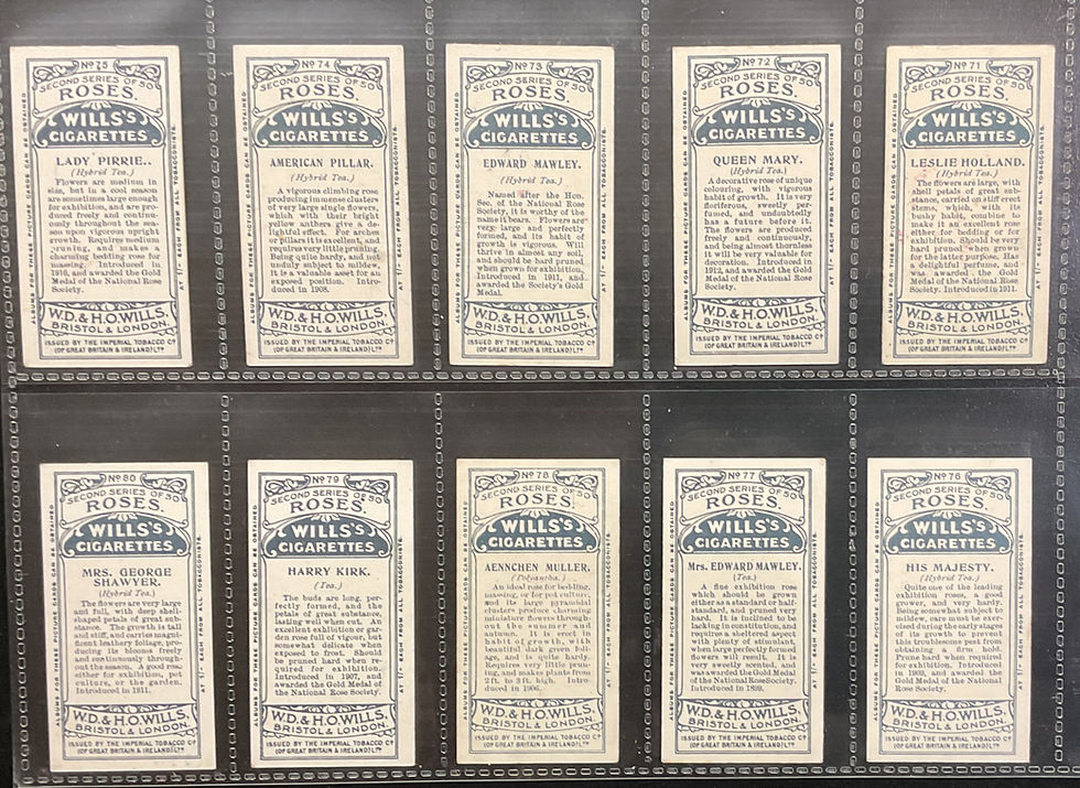Thumbnail: Wills Roses 2nd Series Cigarette Cards