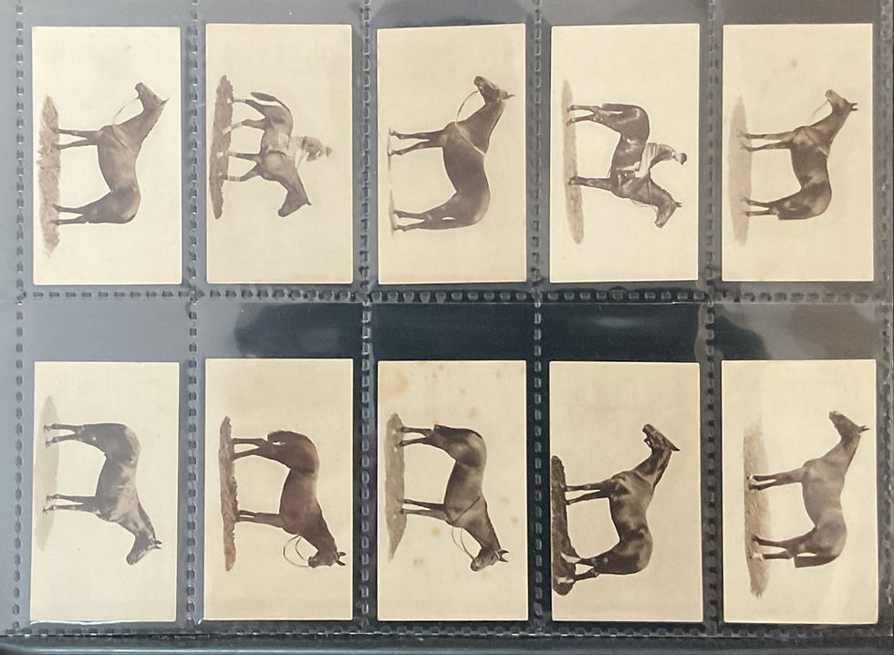 Thumbnail: Sandorides Famous Racehorses Lucana Cigarette Cards