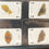 Thumbnail: Heritage Butterflies Playing Cards