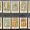 Thumbnail: Reunion Mushrooms German Cigarette Cards