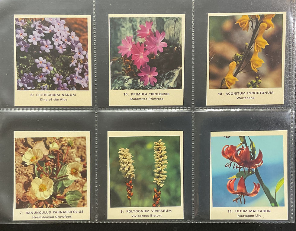 Thumbnail: Anonymous Flowers Trade Cards