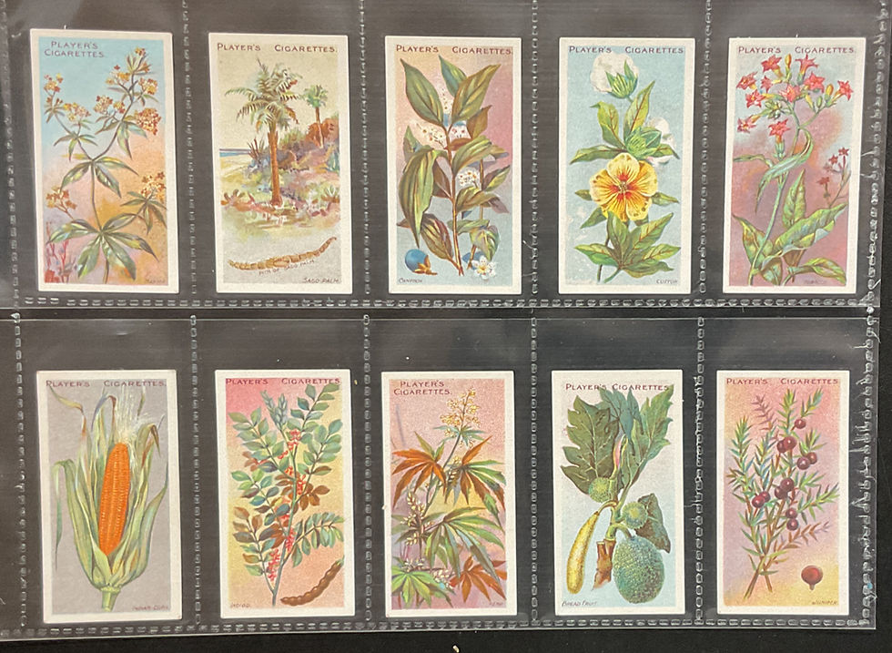 Thumbnail: Players Useful Plants & Fruits Cigarette Cards