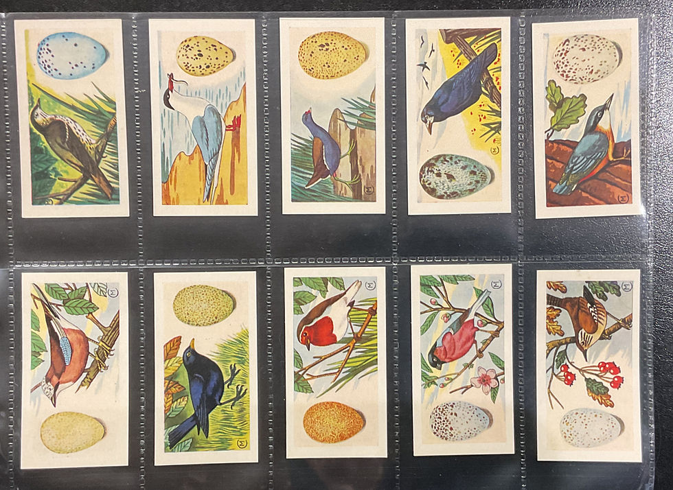Thumbnail: Harden Doctor Ceylon Tea British Birds And Their Eggs Tea Cards