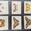 Thumbnail: United Tobacco Company South Africa South African Butterflies Cigarette Cards