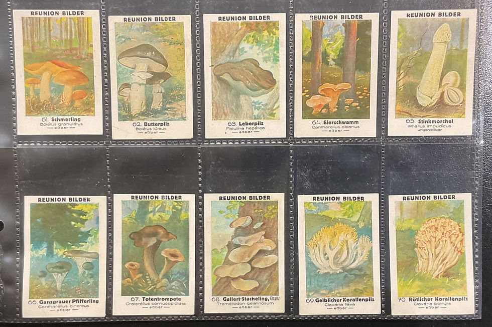Thumbnail: Reunion Mushrooms German Cigarette Cards