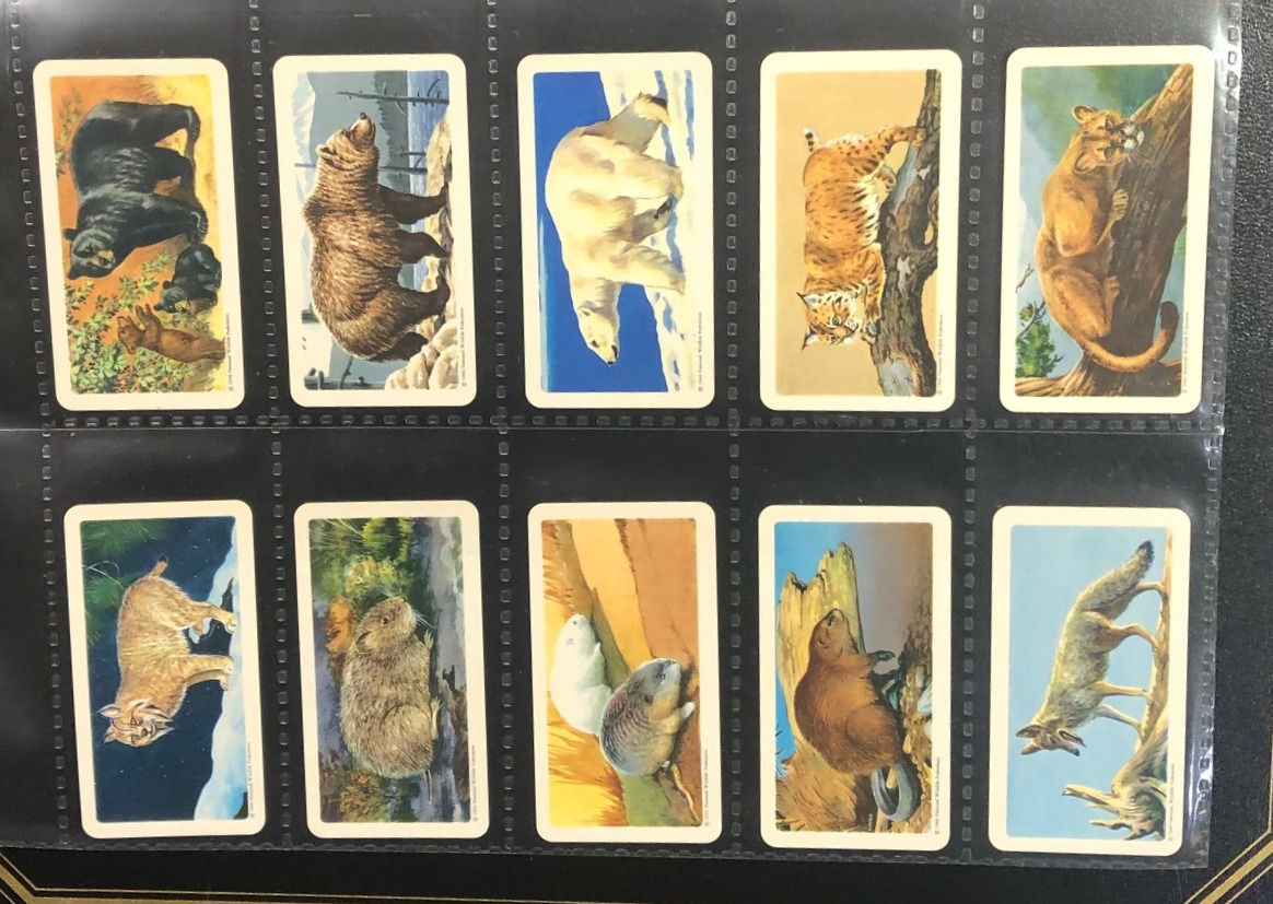 Brooke Bond Tea U.S.A. Animals Of North America Blue Back Tea Cards