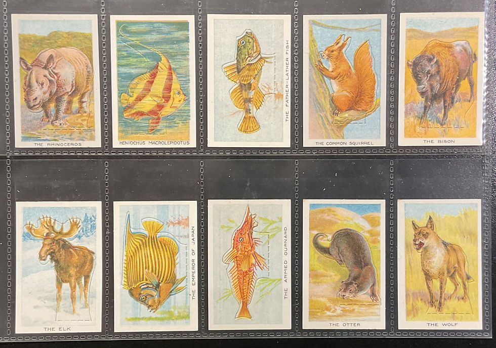 Thumbnail: British American Tobacco B.A.T. Birds Beasts And Fishes Cut-Outs Cigarette Cards