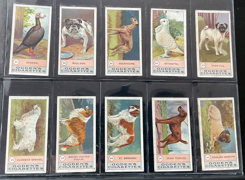 Thumbnail: Ogdens Fowls Pigeons & Dogs Cigarette Cards