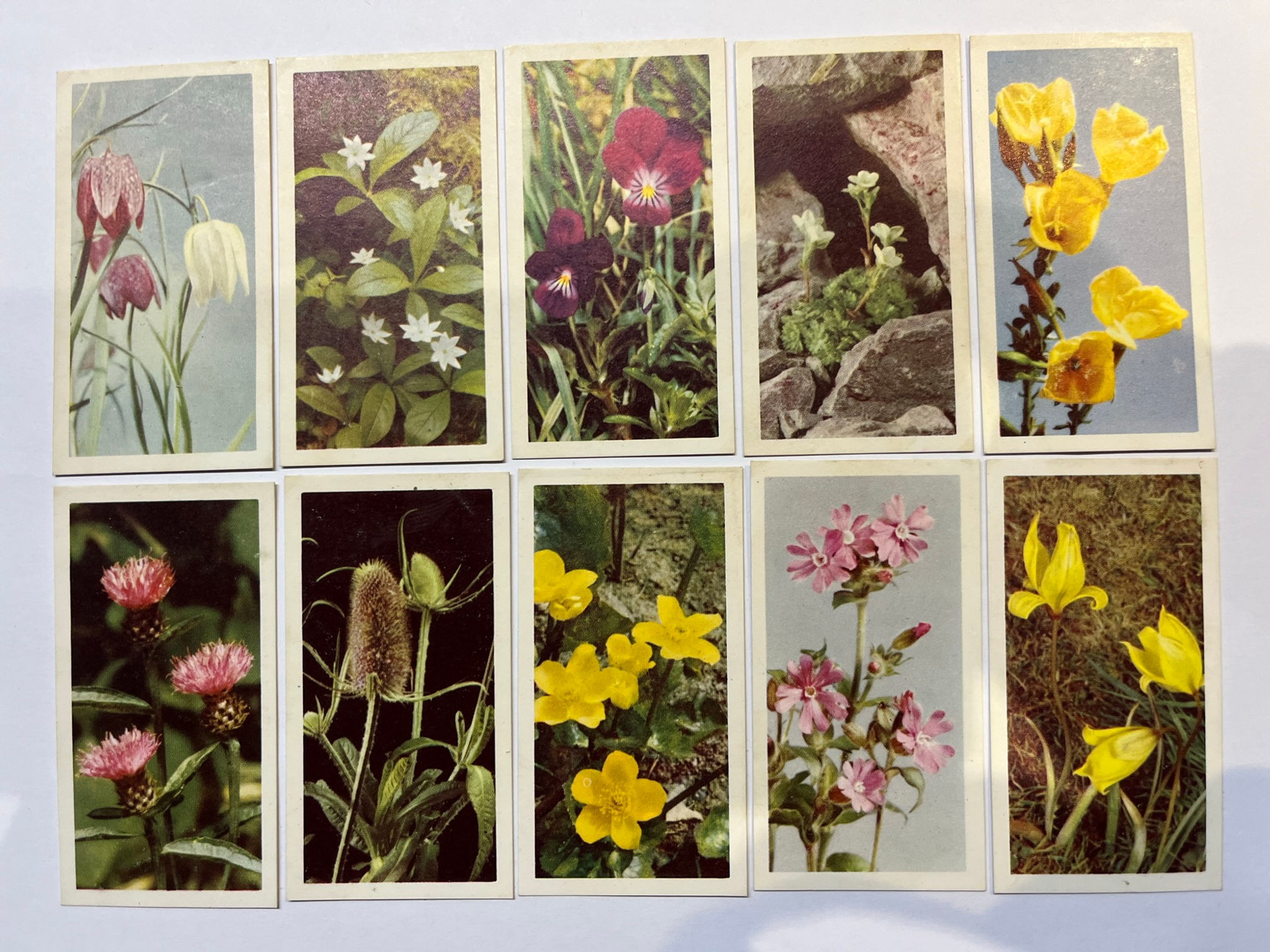 Brooke Bond Wildflowers A Series Tea Cards