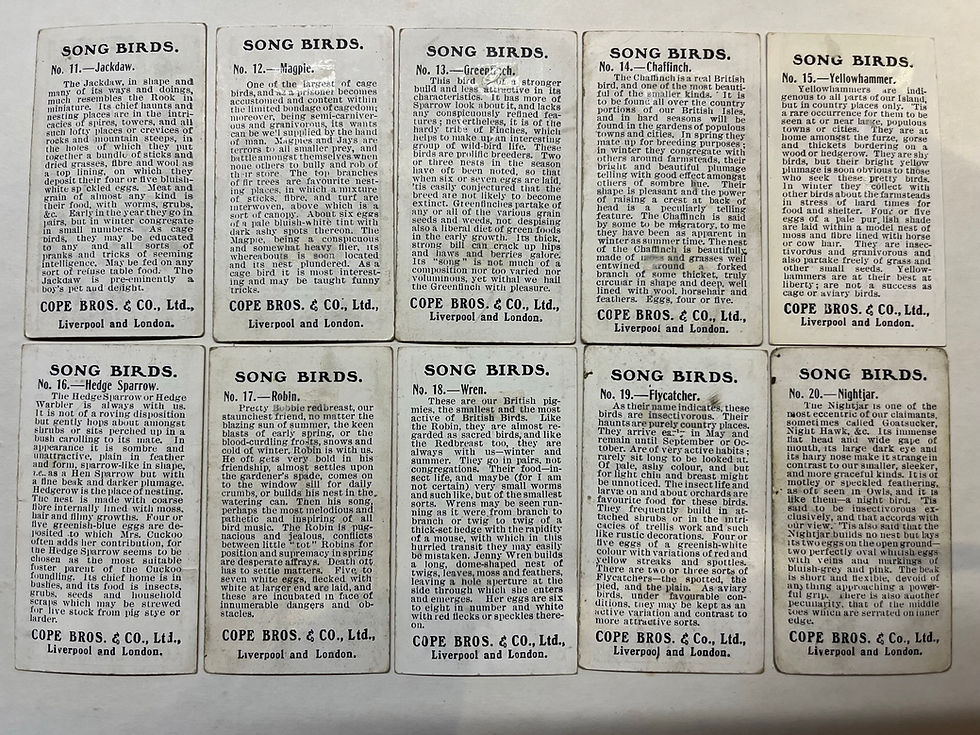 Thumbnail: Copes Songbirds Cigarette Cards