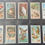 Thumbnail: Wills Ruby Queen Birds & Animals Cigarette Cards