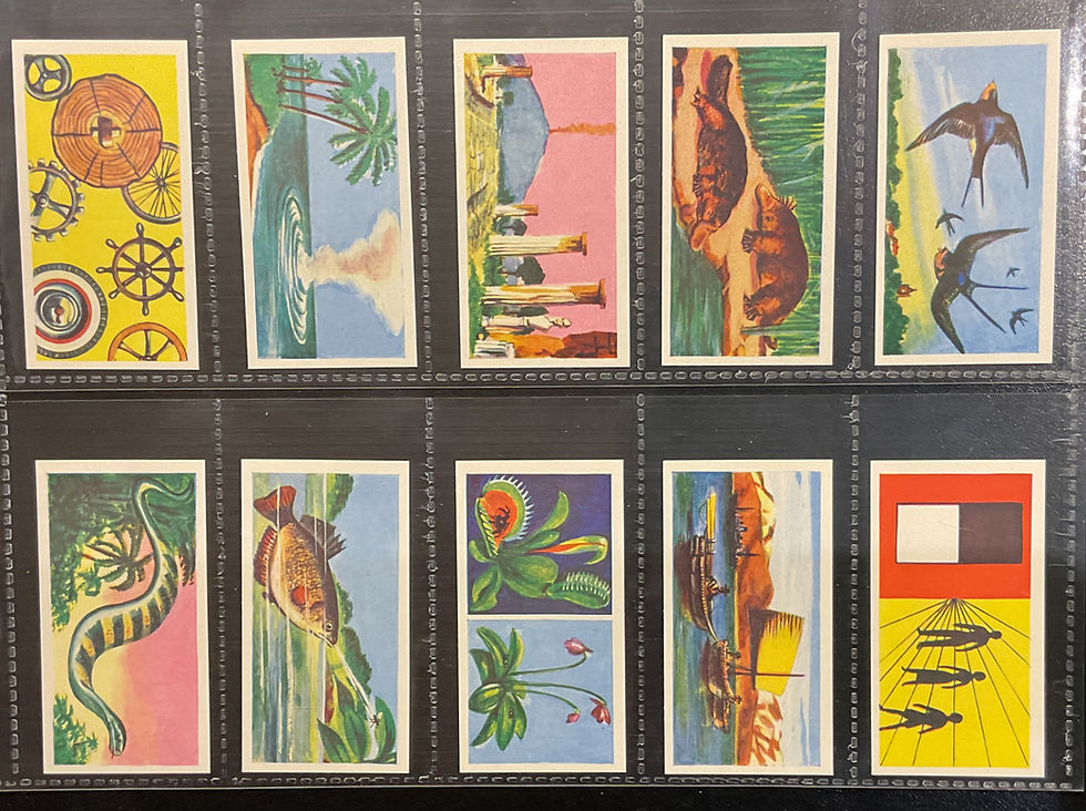 Thumbnail: Charter Tea Strange But True 1st Series Tea Cards