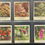 Thumbnail: Anonymous Flowers Trade Cards