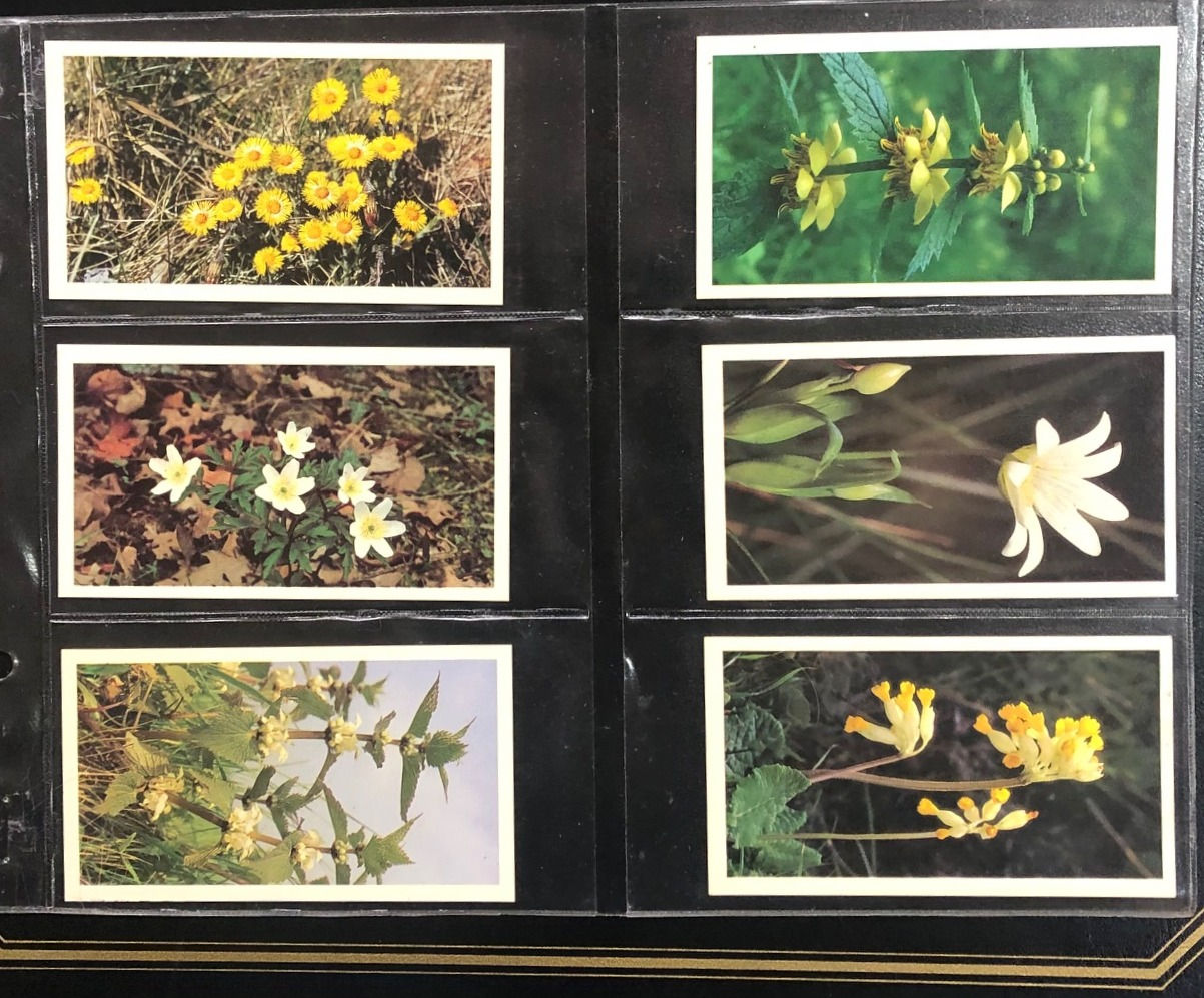Players Grandee Britains Wild Flowers Cigar Cards