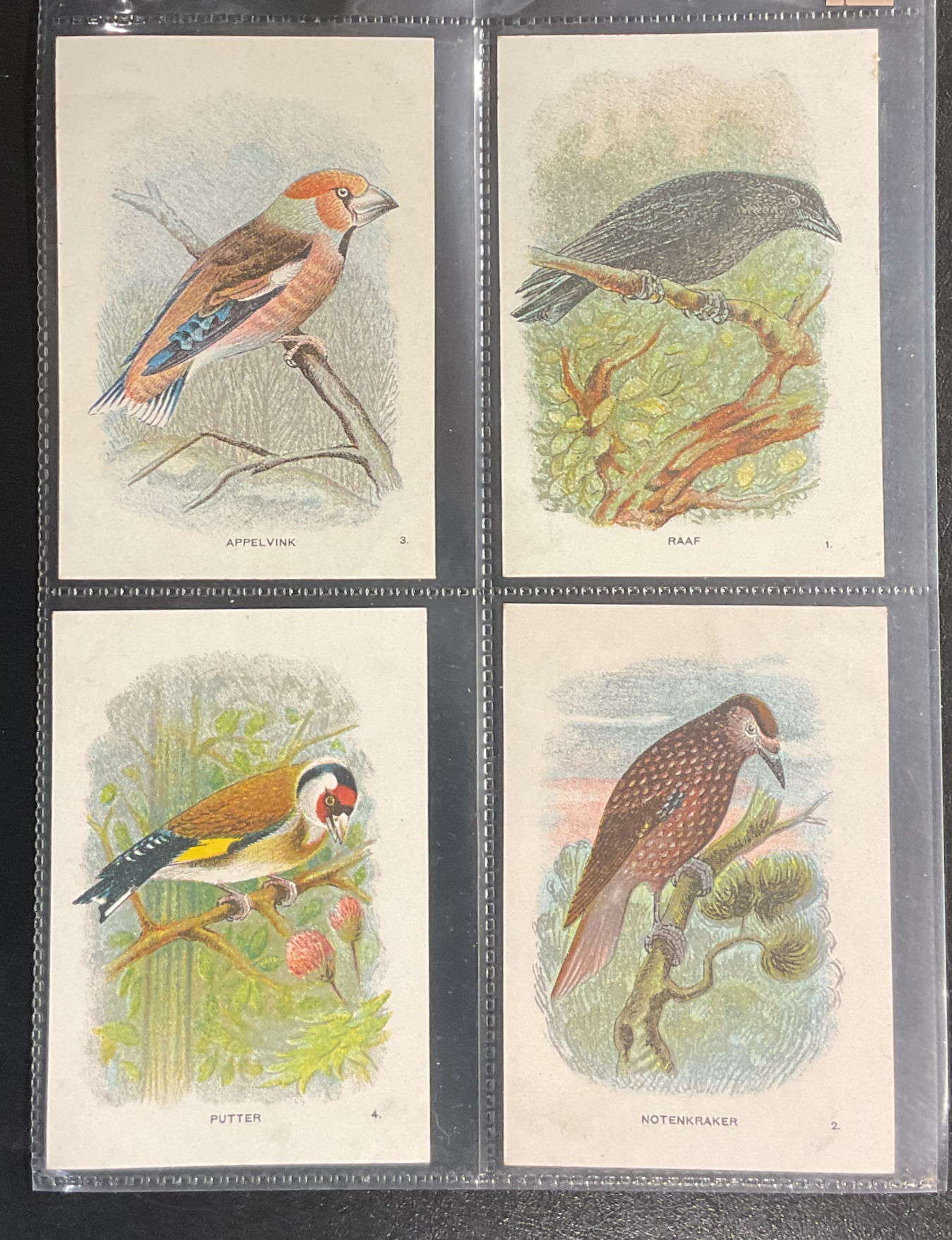 Tiktak's Coffee Birds Dutch Trade Cards