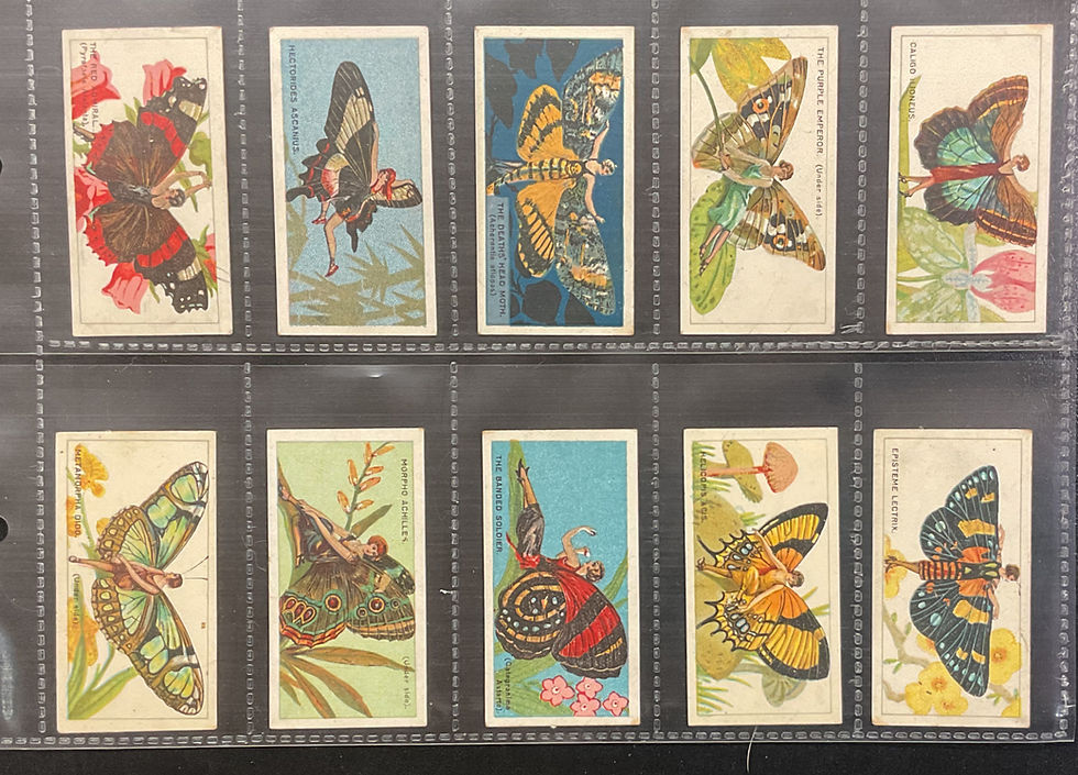 Thumbnail: B.A.T British American Tobacco Butterfly Girls Cigarette Cards