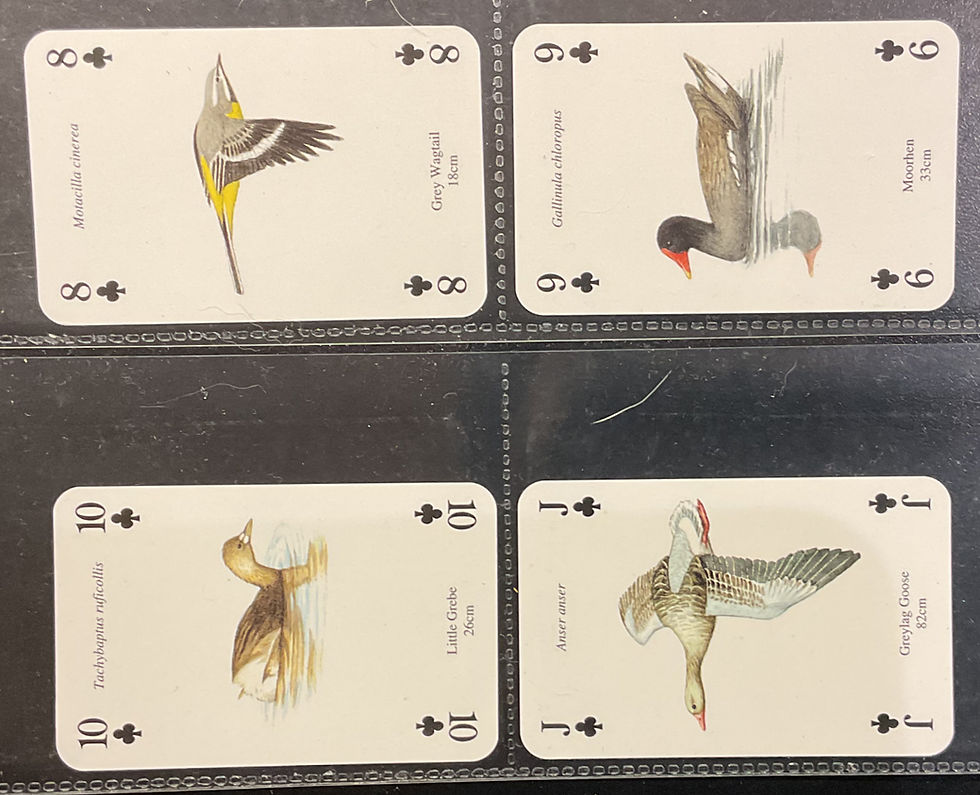 Thumbnail: Heritage Birds Playing Cards