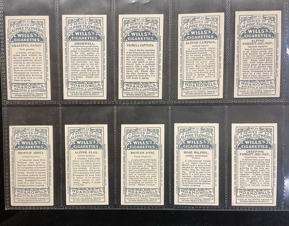 Thumbnail: Wills Alpine Flowers Cigarette Cards